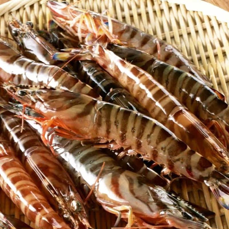 冷冻草虾海虾大虎5只装冻海鲜活虾新斑节野生冻虾