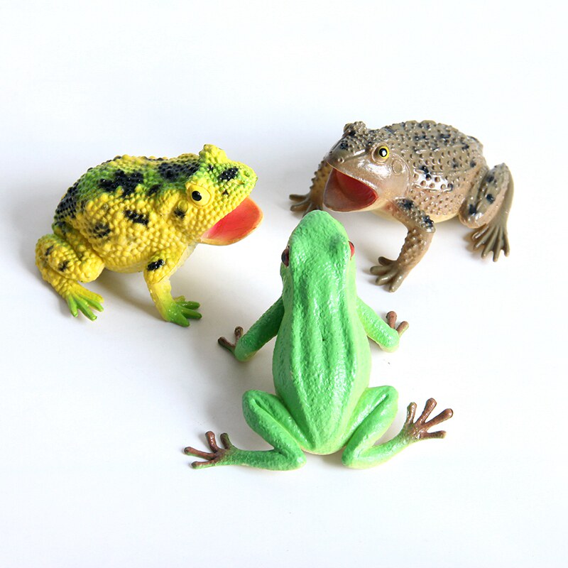 仿真青蛙模型捏捏叫动物玩具假癞蛤蟆蟾蜍道具五毒吓人整蛊爬行类