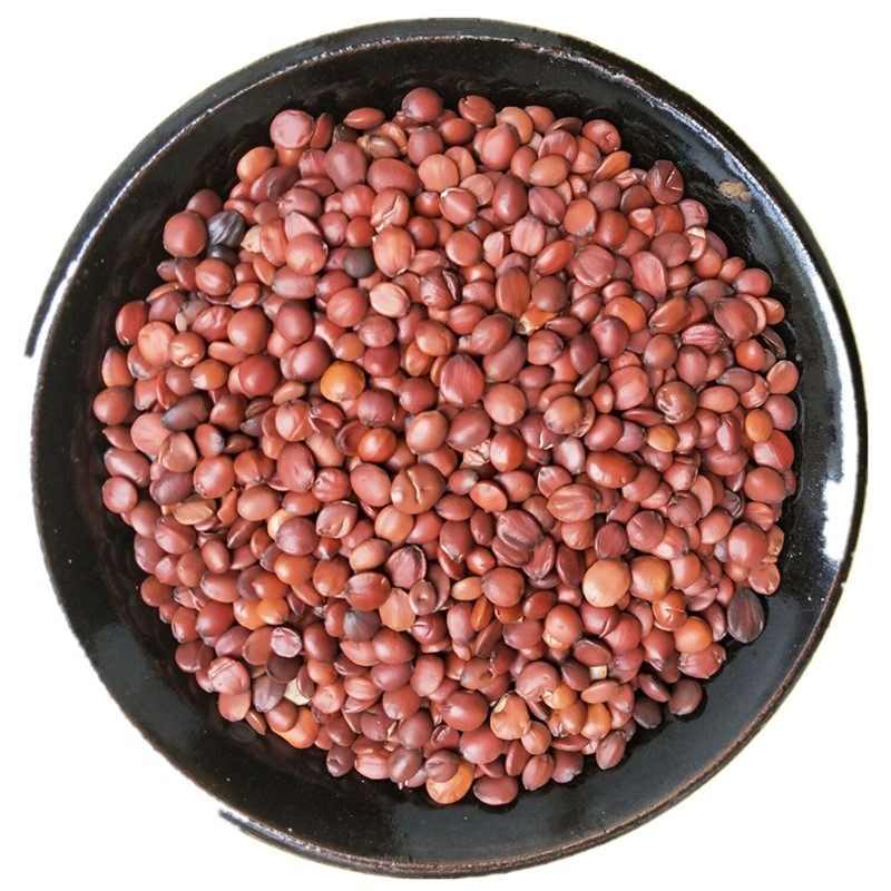 生酸枣仁 枣仁250克130元 需要炒酸枣仁请留言 默认发生 酸枣仁 - 爱