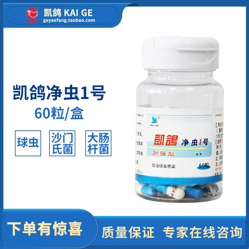 凯鸽鸽药净虫1号60粒迅速杀灭球虫消除沙门医疗用品