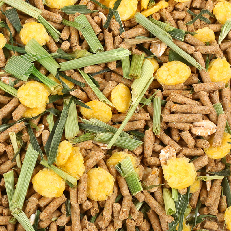 兔粮特价幼兔粮成饲料含防球虫成分除臭5斤兔兔主粮