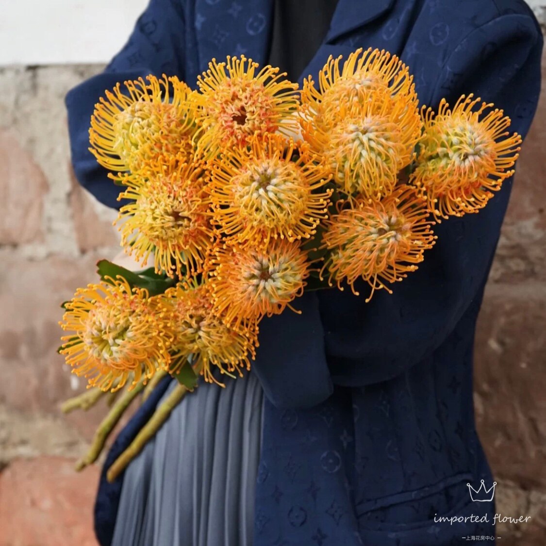 进口南非橘色针垫花鲜花家庭生活花瓶插花顺丰直批鲜花速递同城
