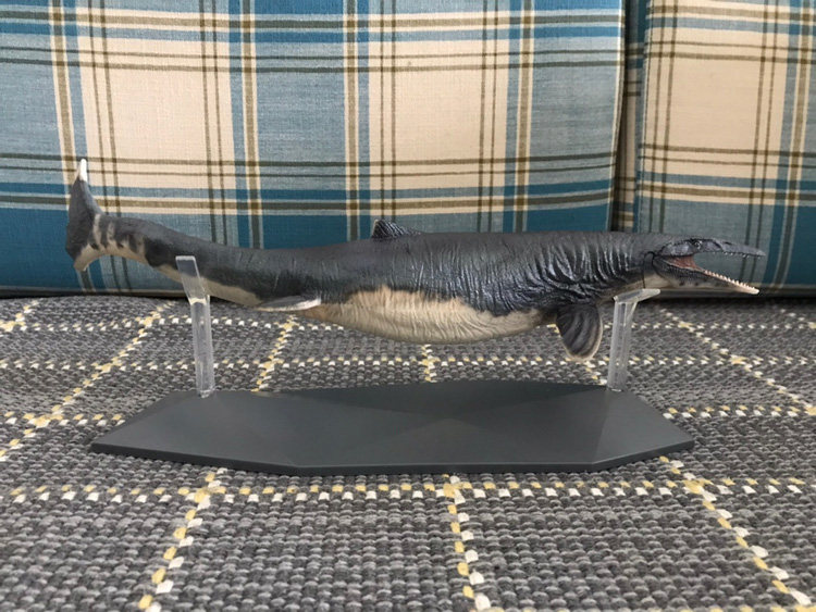 pnso恐龙博物馆沧龙罗恩侏罗纪科学艺术仿真海洋仿真