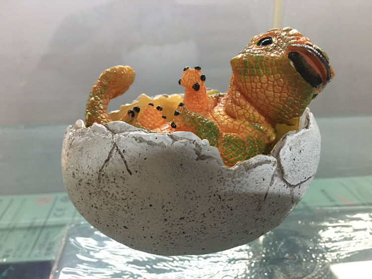 edage伊甸出品侏罗纪恐龙甲龙蛋宝宝雕塑模型儿童仿真