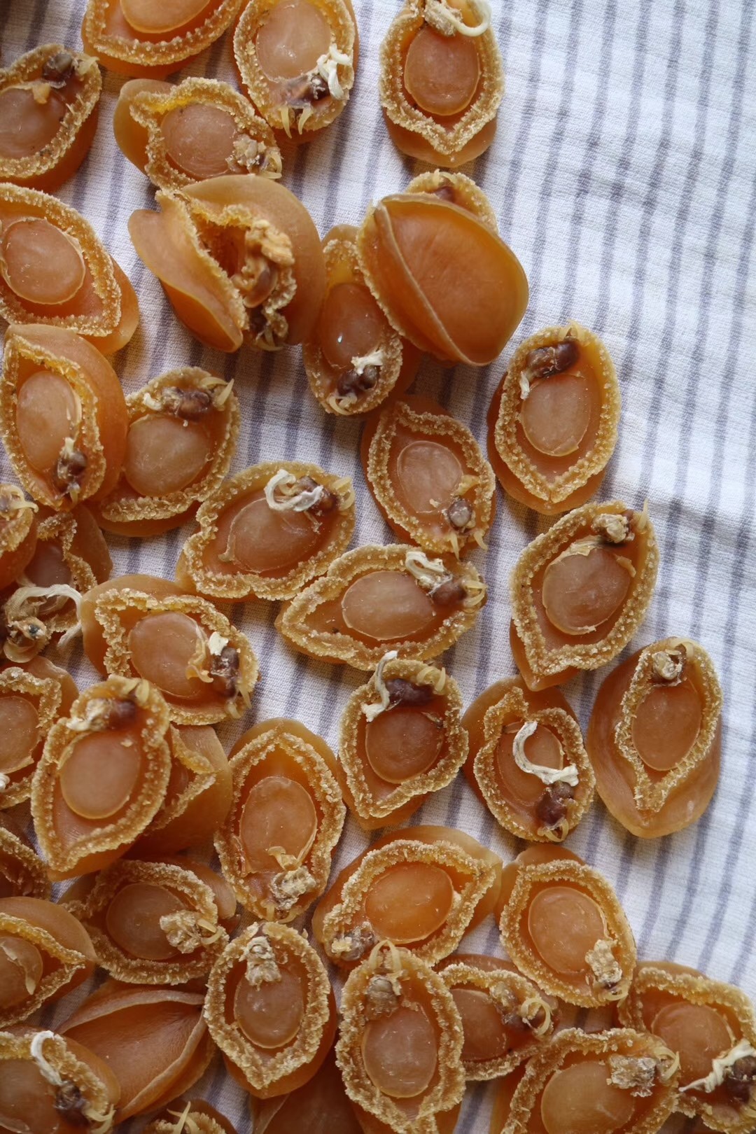 120头大连鲍鱼全部精选厚肉食用干货干度特干鲍鱼