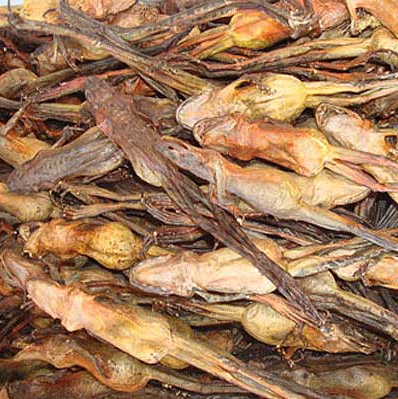 雪蛤林蛙干15g长白山蛤蟆新货出油率高买十送一一包雪蛤干