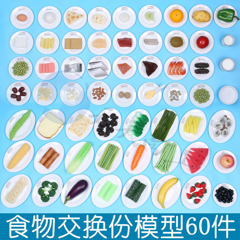 2016版居民膳食平衡宝塔食物交换份60件模型医用饮食指导营养教学
