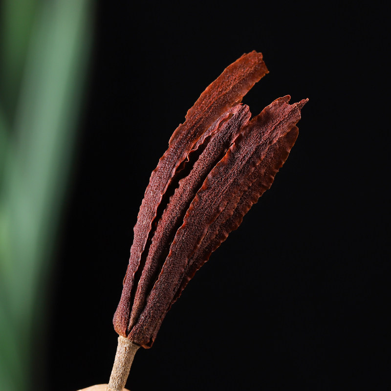 玉兰花500g特级兰花广西白玉兰干花花枝纯净天然养生茶