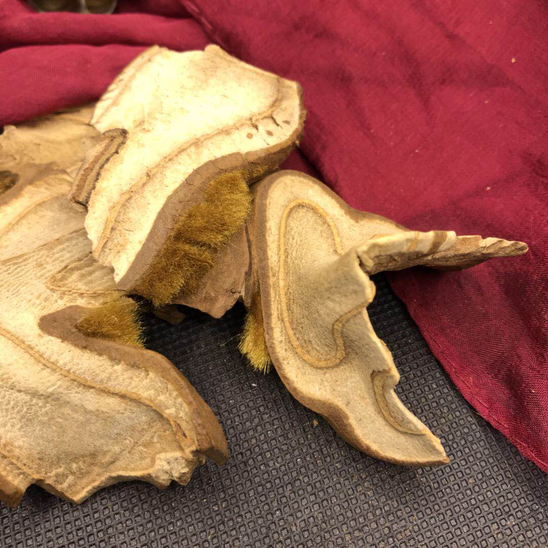 中药材批 发 金毛狗脊500克苟脊金狗脊金丝毛金猫咪2斤包邮