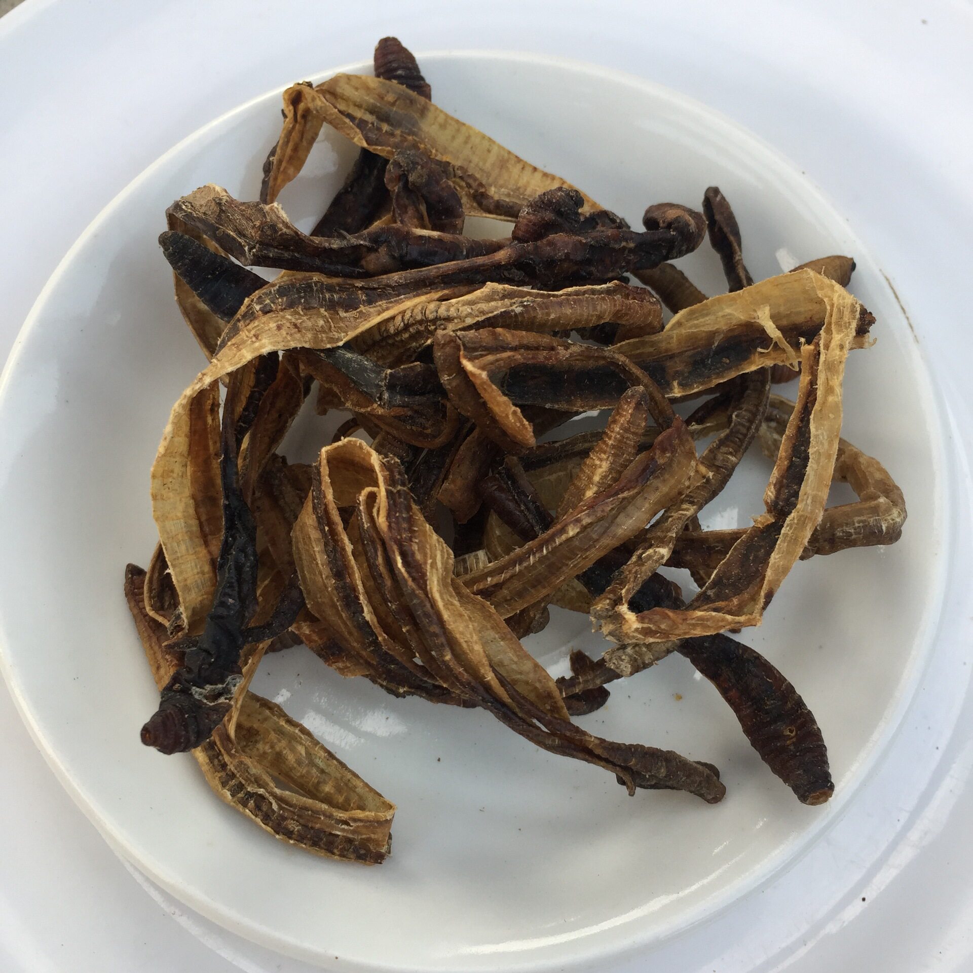 包邮500克半开整条地龙干地龙粉野生广地龙可磨粉精选中药材