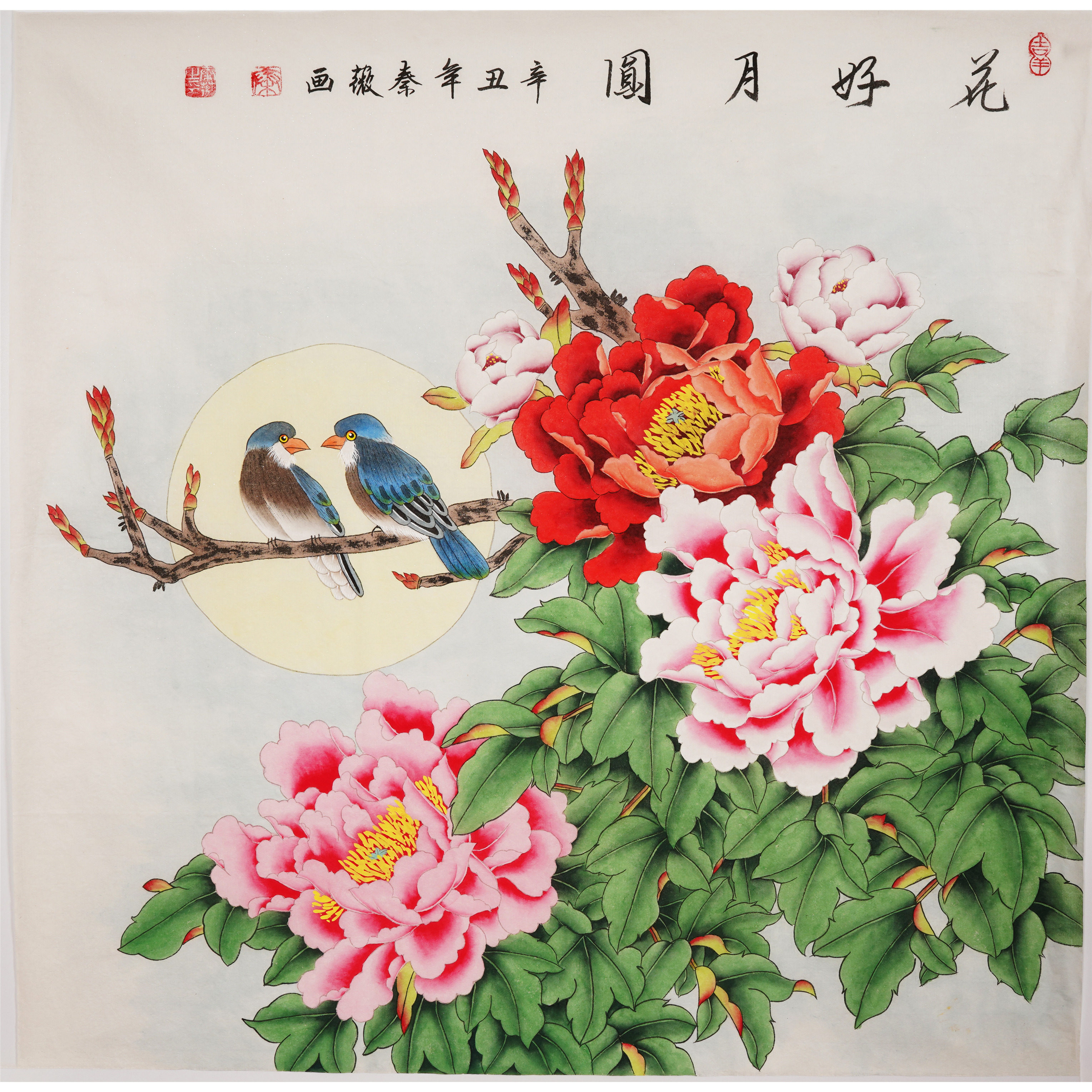 牡丹工笔字画秦薇装饰画手工贵纯富贵花开斗方国画