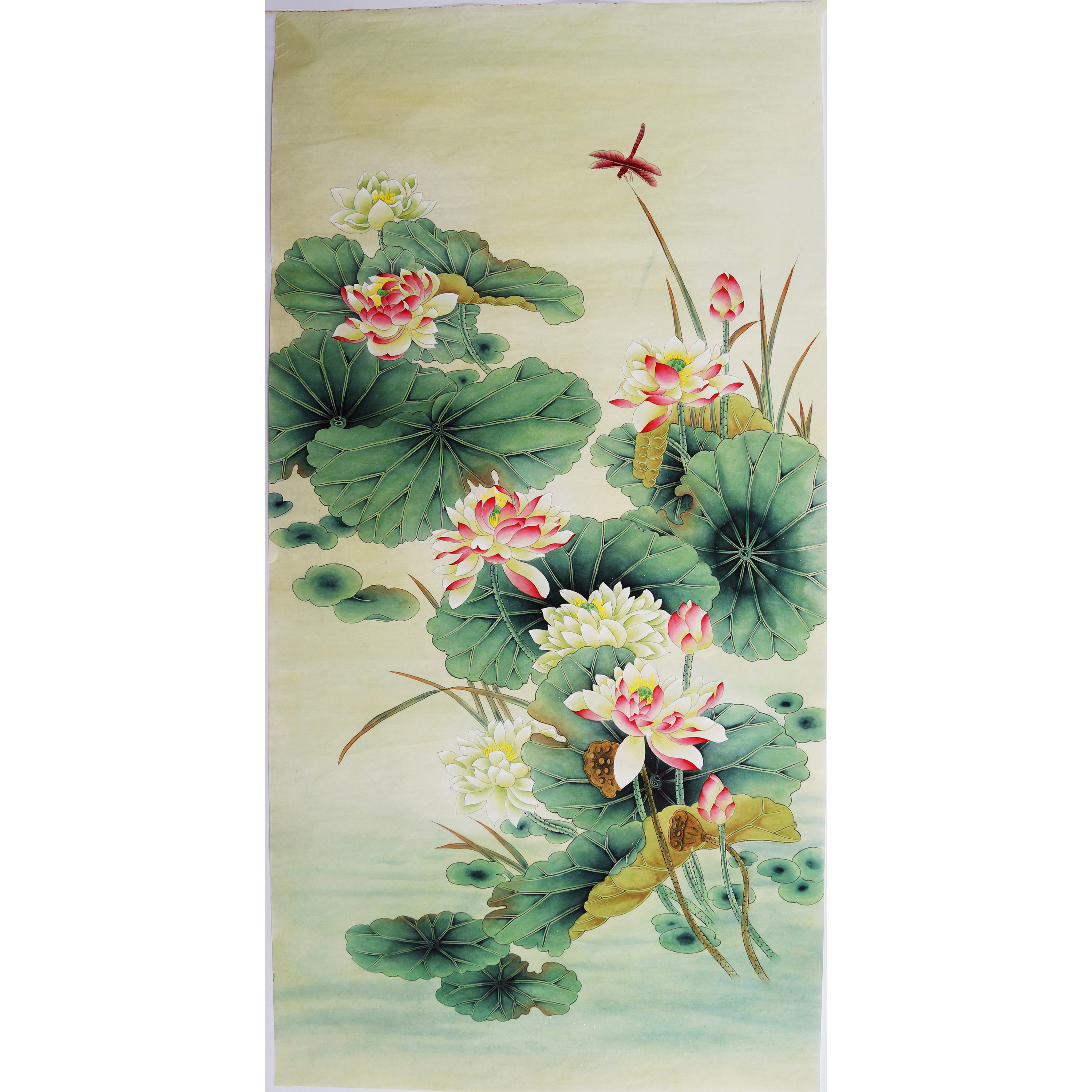 四尺工笔画国画荷花蜻蜓竖款精品纯手绘花鸟画无款画没题款0383