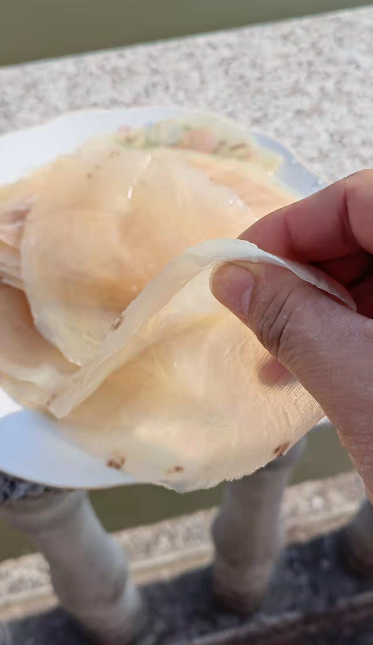 海鲜礼盒5斤包邮正宗野生吕四小号海蜇皮帽海蜇