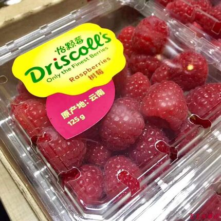 新鲜怡颗莓树莓4盒装红树莓鲜果