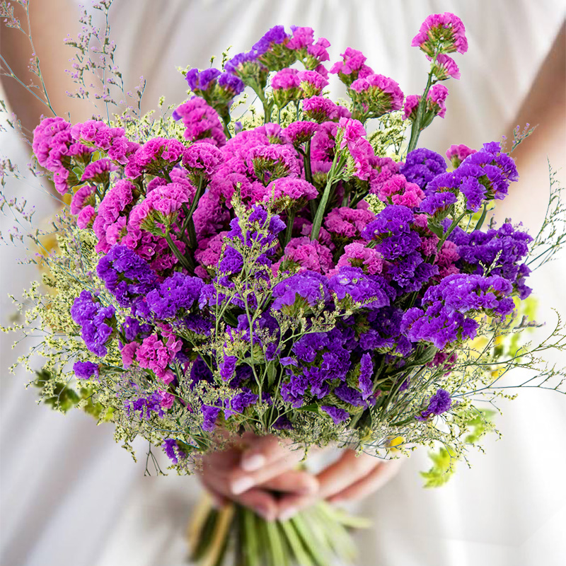 云南勿忘我论斤卖干花花束水晶草真花鲜花风干情人草礼物摆件