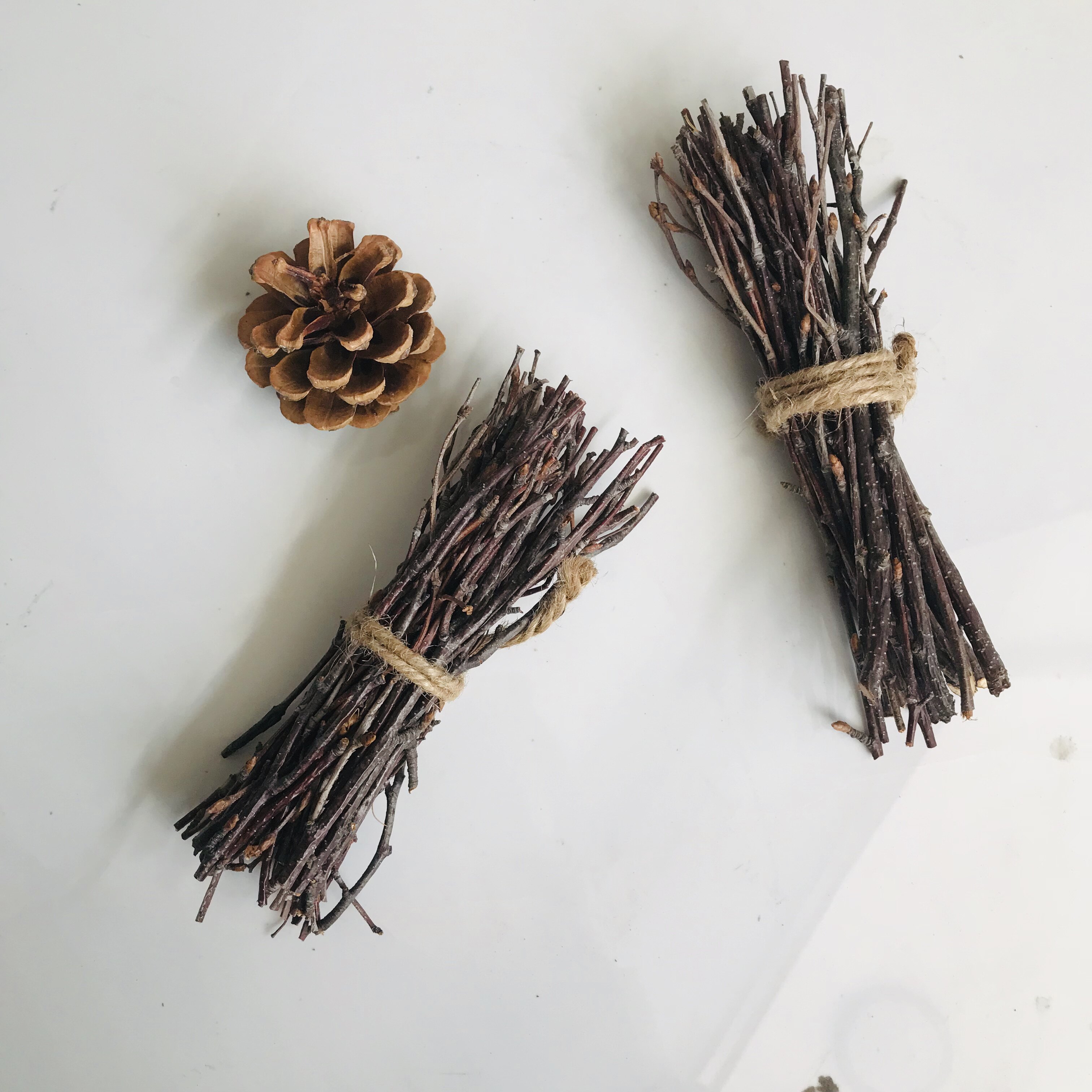 树枝手工小捆桦树天然干枝装饰zakka自然摄影干花