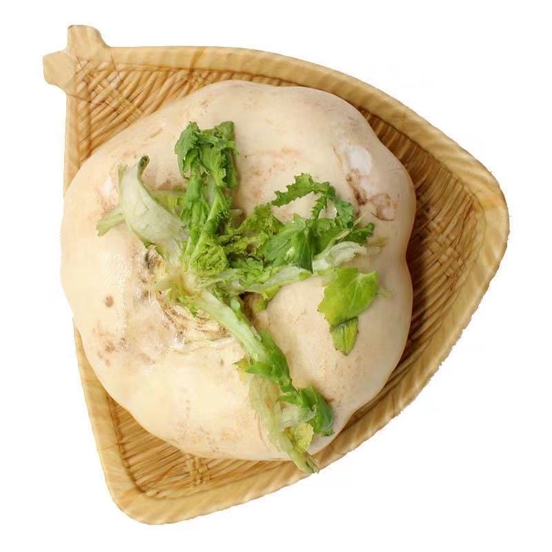 温州特产农家自种5斤新鲜蔬菜盘菜头鲜嫩食用甜菜头