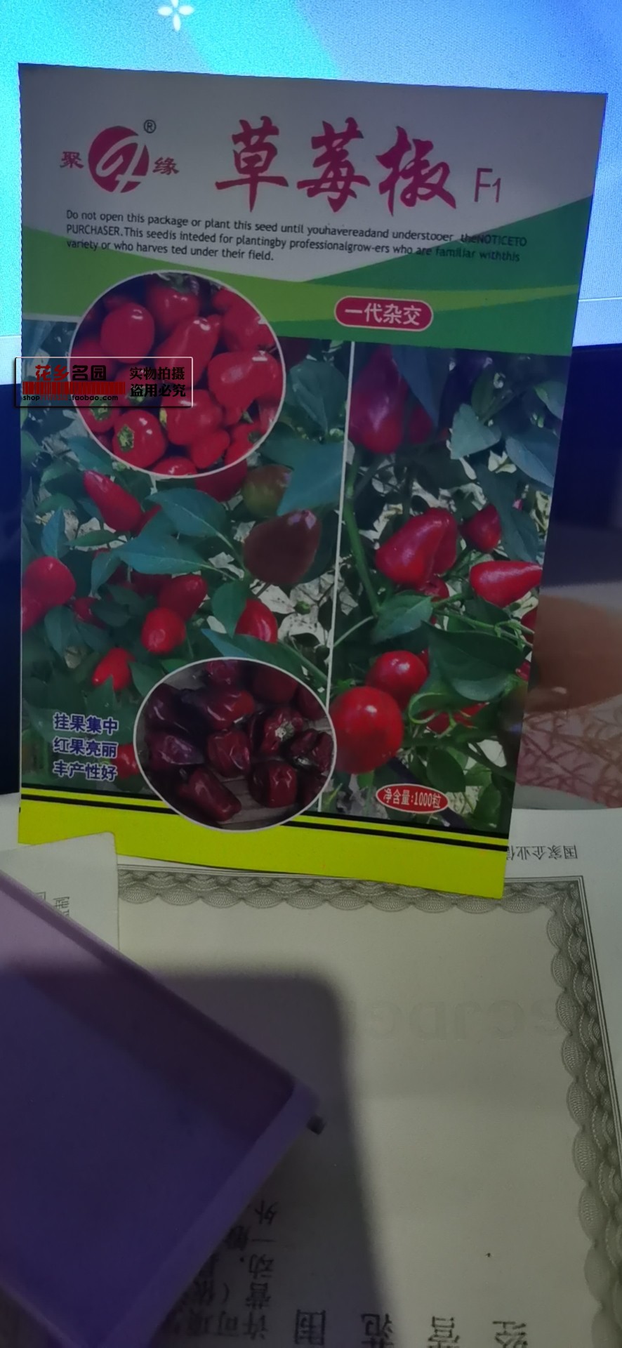 辣椒苗 朝天椒苗 青辣椒苗 草莓辣椒苗苗 线辣椒苗 小辣椒苗