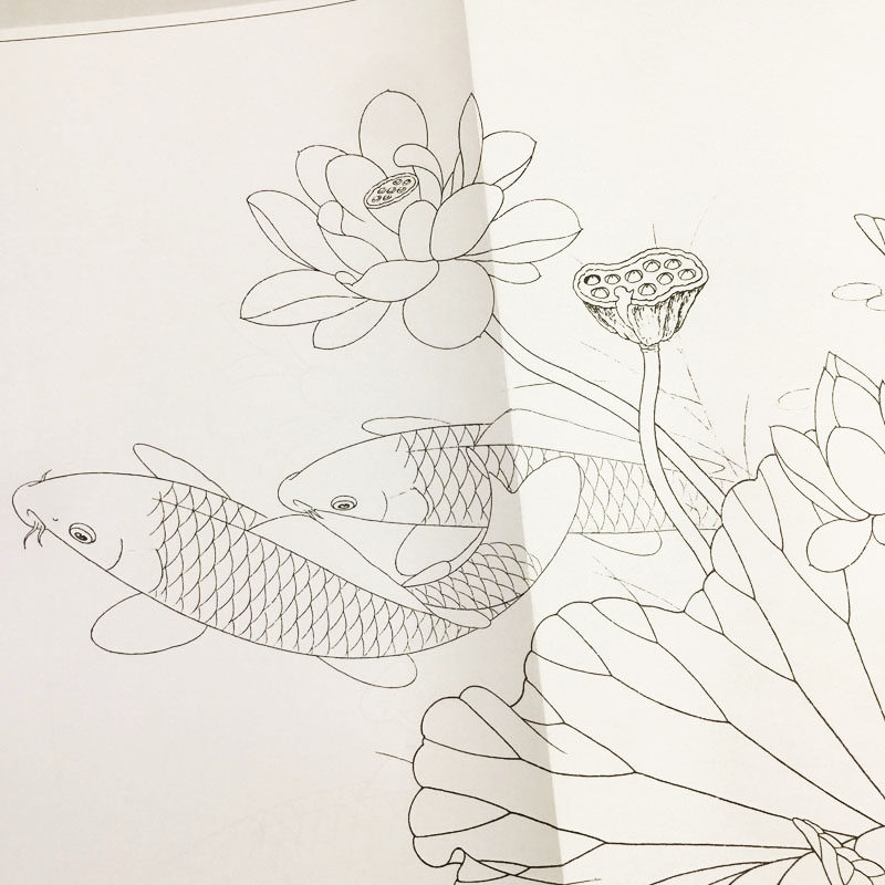 工笔画鲤鱼国画带上上色步骤白描底稿初学者宣纸宣纸