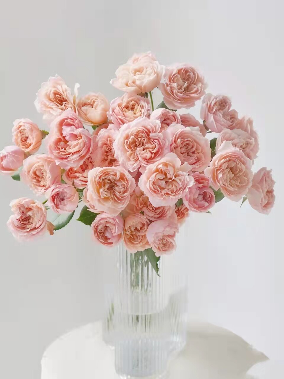 橙色芭比浪漫爱人狂欢泡泡鲜花多头巧克力泡泡玫瑰多头小蔷薇玫瑰