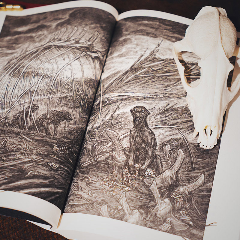 利维坦号战记冒险科幻少年机械机儿童文学儿童文学