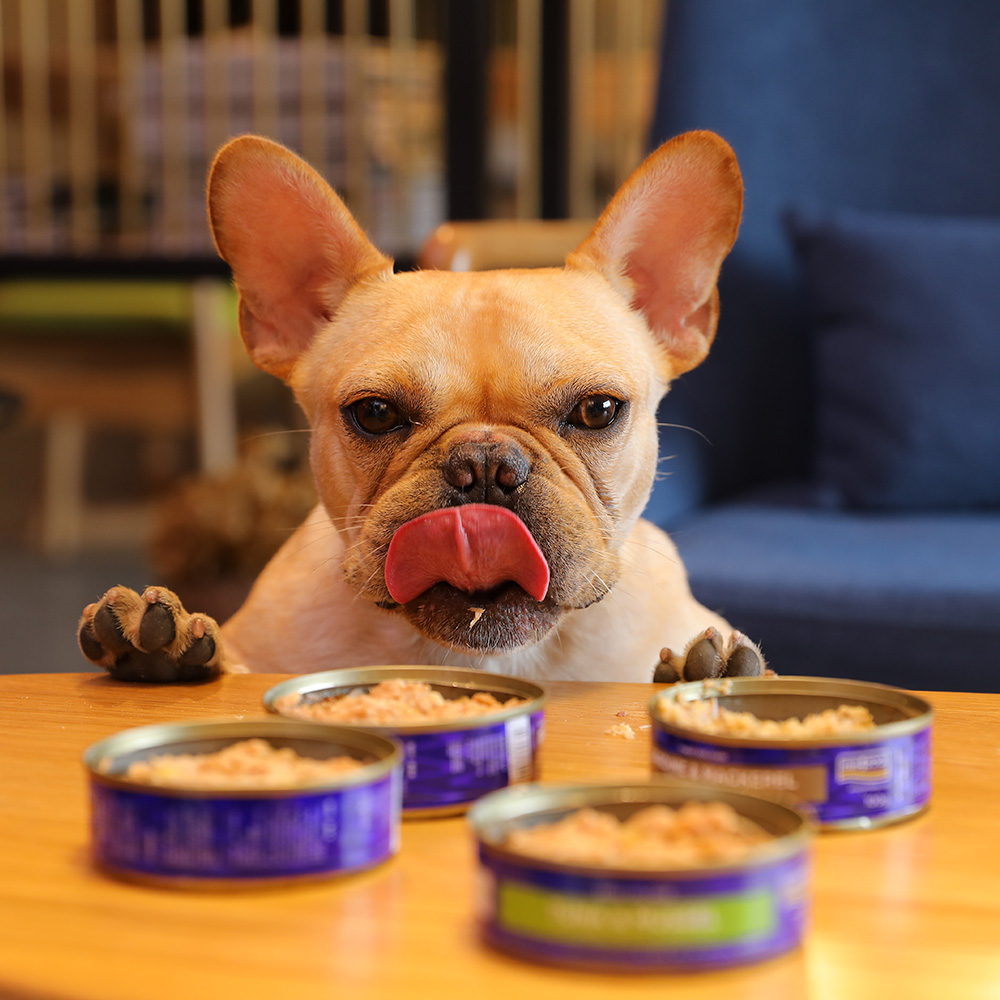 狗狗海洋之星狗罐100g泰迪萨摩多种口味湿粮宠物狗零食