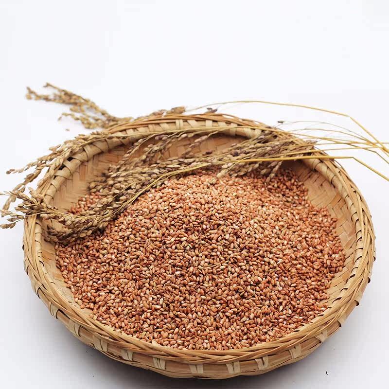 《曹妃秸宝》 生态大米 胭脂米1斤 包邮 老种子不打药更健康