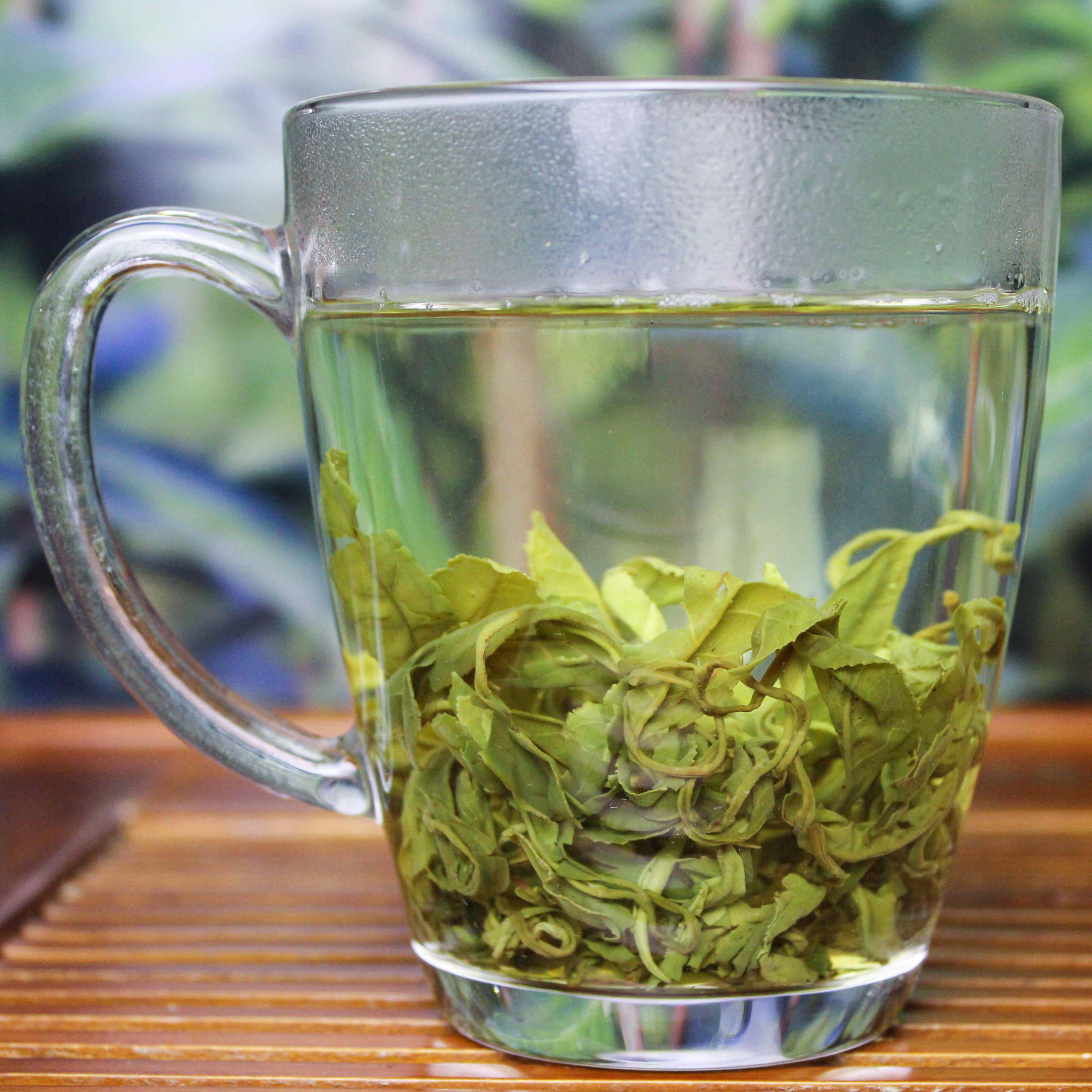 2020新茶特级坞山辉白茶叶泉岗珠茶嵊州云雾其它绿茶