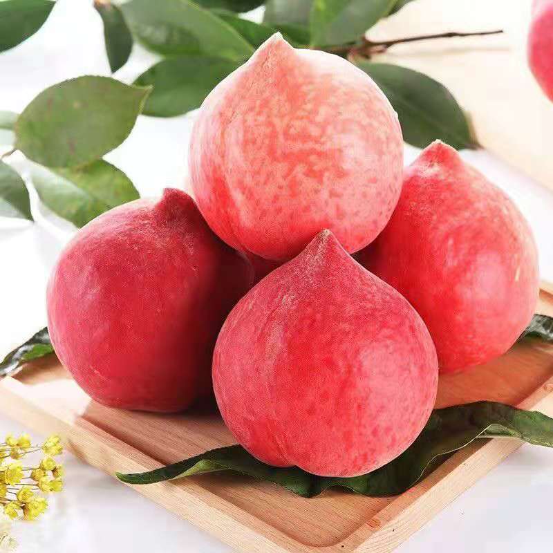 硬桃脆甜中华寿桃水蜜桃狼牙狼牙山山大北京平谷桃