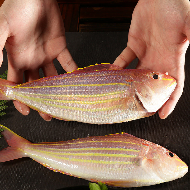 渔民的孩子每日现捕海捕海鲜海钓大金线鱼新鲜红杉三鱼500g13只