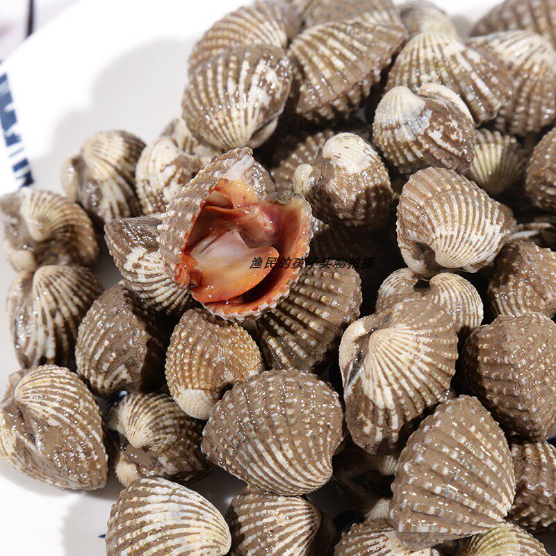 渔民孩子每日现捞血蚶当天捕捞鲜活大蛤蜊毛蚶毛蛤500g份包活