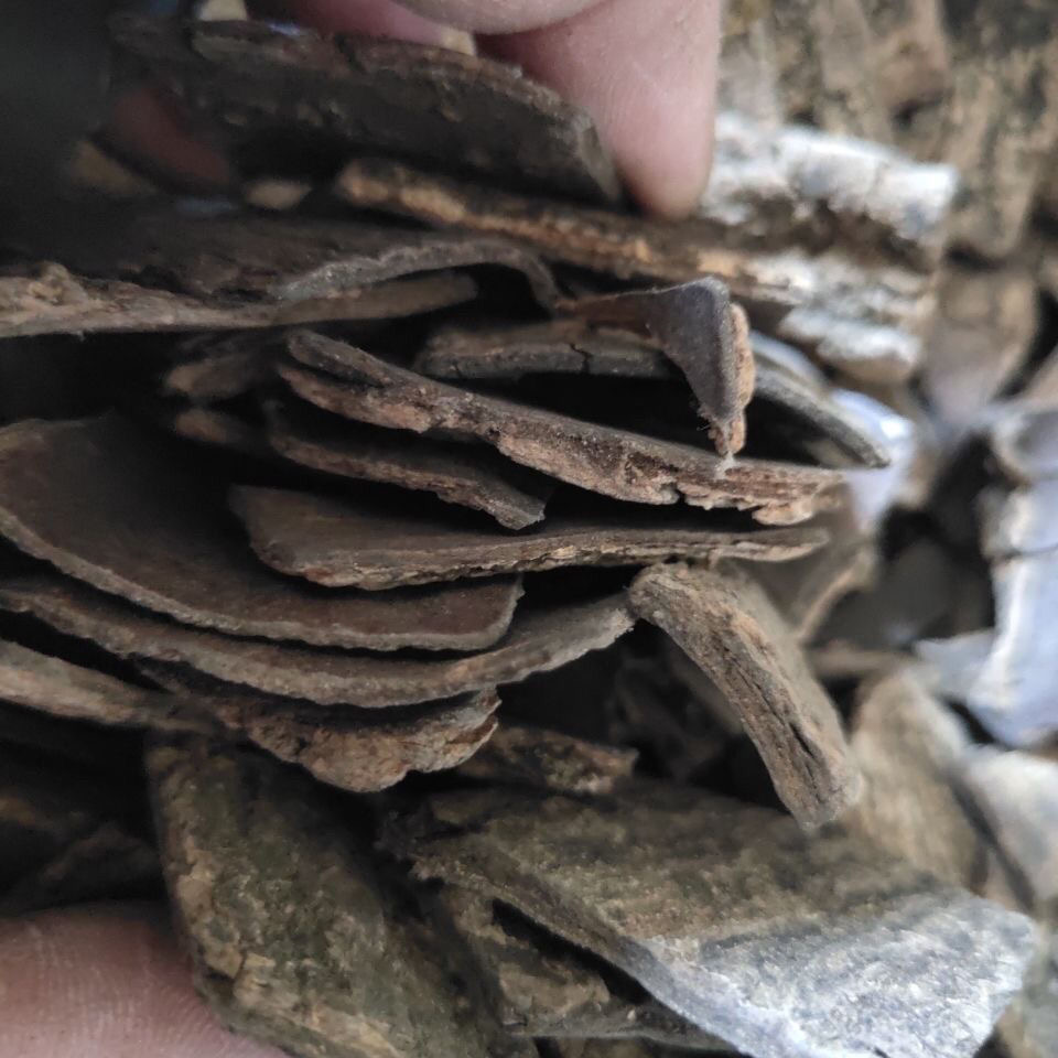 杜仲中药材盐制野生500g包邮其他药食同源食品