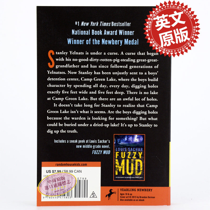 【中商原版】纽伯瑞儿童文学奖 holes别有洞天 英文原版 洞 louis