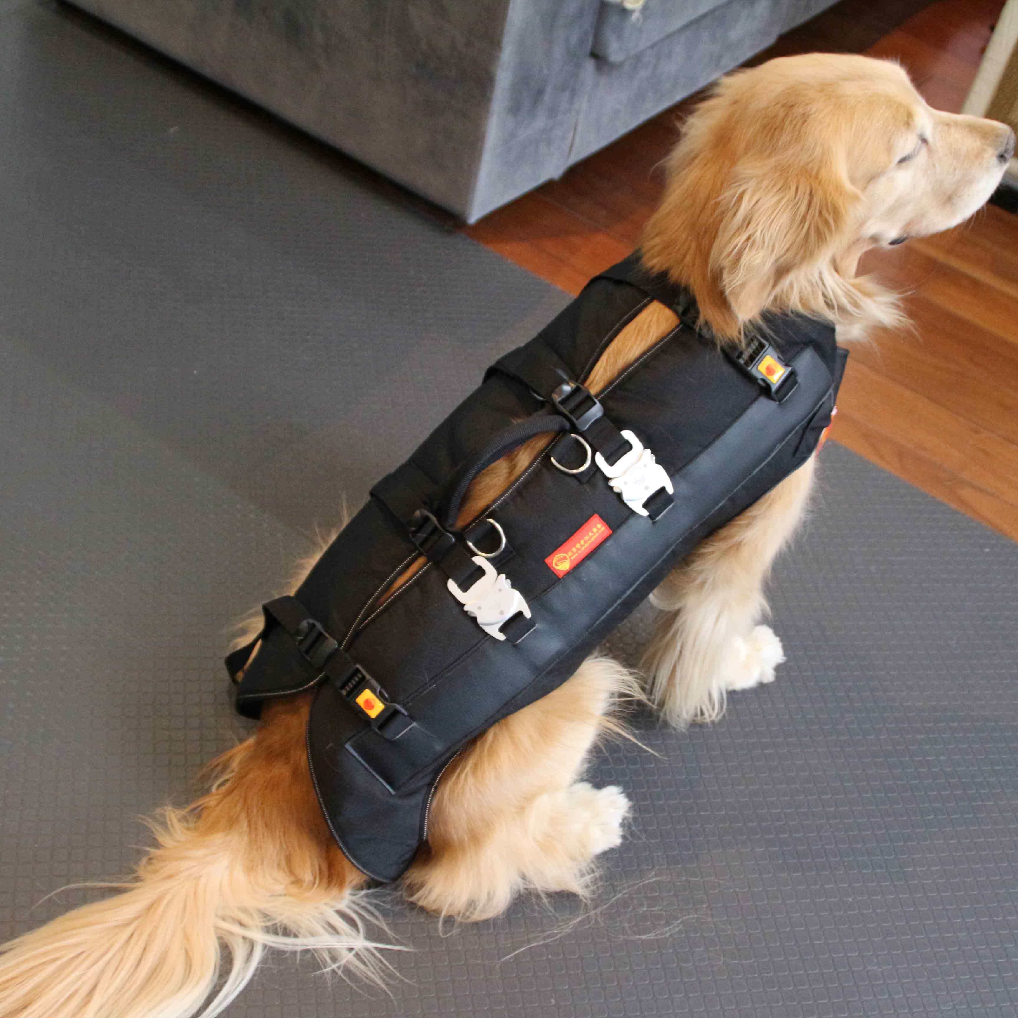 背包外出金毛大型患病护理包患病便携背包