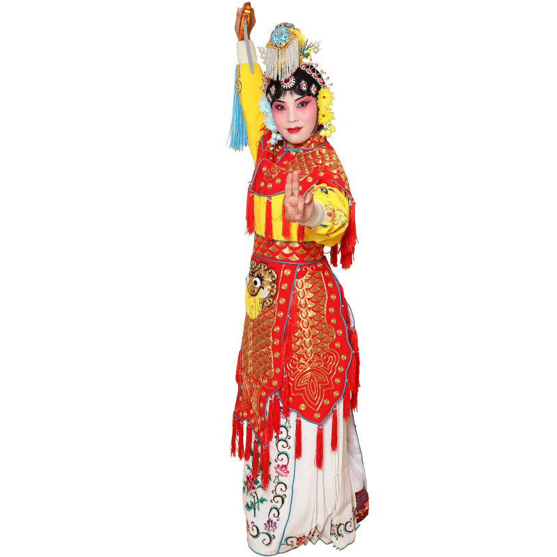 戏剧舞台戏曲服装虞姬京剧霸王别姬红色金鱼鳞甲民族服装