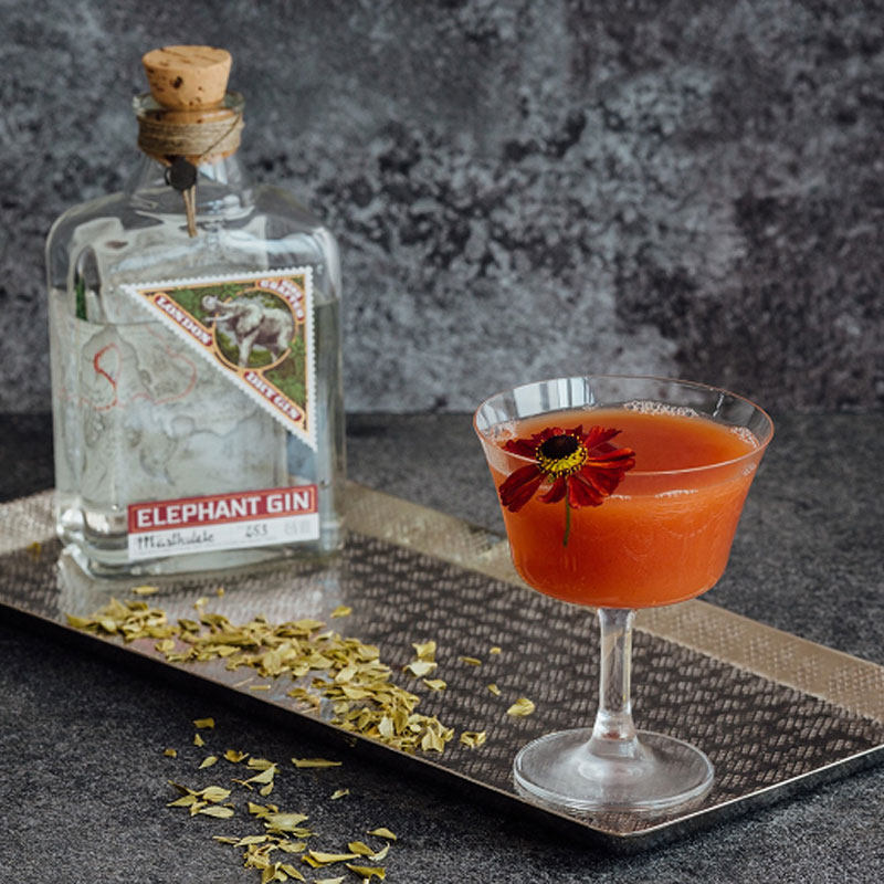 洋酒大象伦敦干金酒手工酿制杜松子酒 elephant gin 原装进口包邮