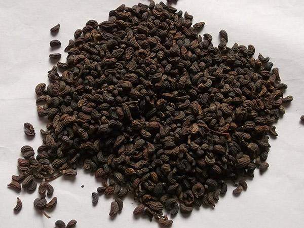 野生女贞客家手工挑选干货冬青籽鸡腰籽腊树泡澡药包