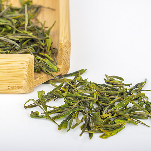 共发50克一级春芽2022新茶白春芽阳东东阳茶叶其它绿茶