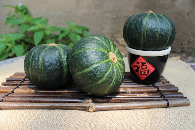 新鲜蔬菜缅甸小南瓜5斤进口贝贝贝贝迷迷你有机宝宝其它