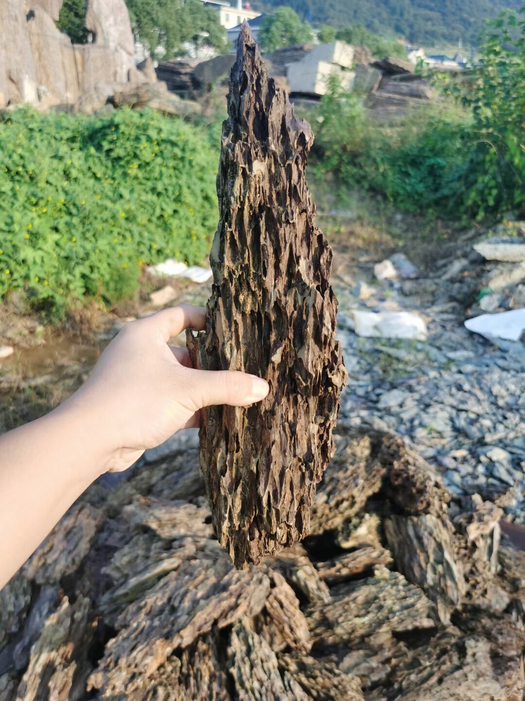 鱼缸石水陆真石成品水陆青龙造景粗细多孔松皮石造景