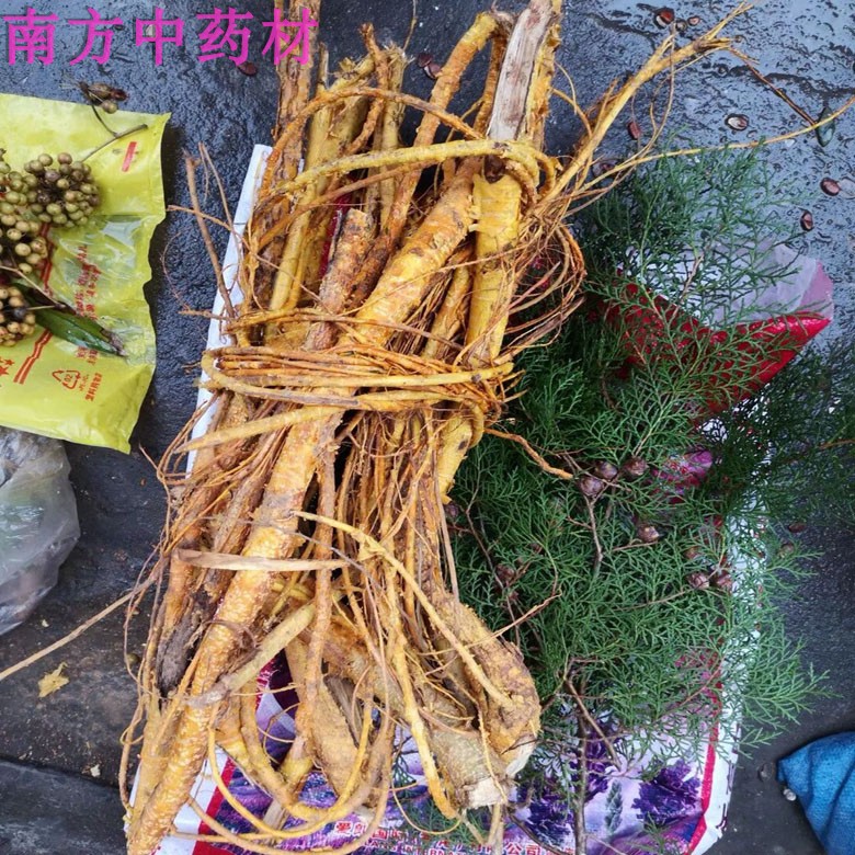 野生穿破石中药材川破石根九层皮金腰带地棉根 拉牛入
