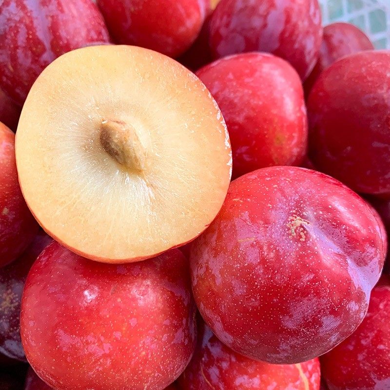 红布布林李子酸甜新鲜孕妇水果应季大果5斤李子