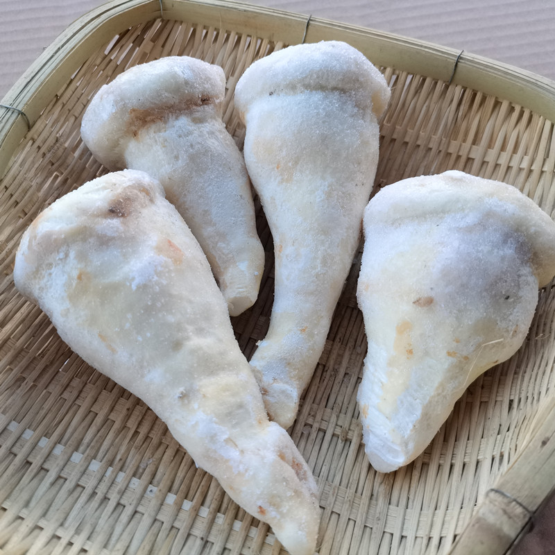 新鲜老人头菌冰速冻仙人人头松苞云南野生菌菇新鲜松茸