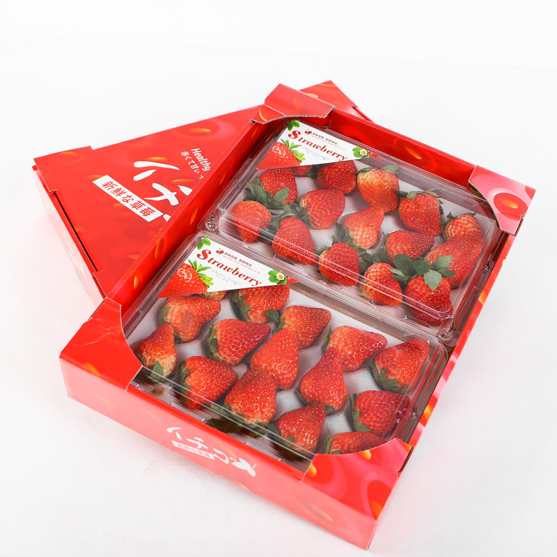 草莓一次性透明纸盒盒带内托12粒15粒20粒塑料一次性餐盒