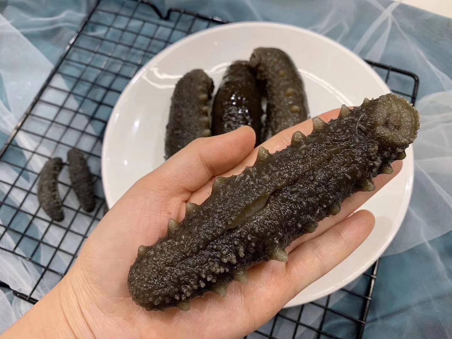 海参关西淡干日本250克进口野生高泡发50只海参