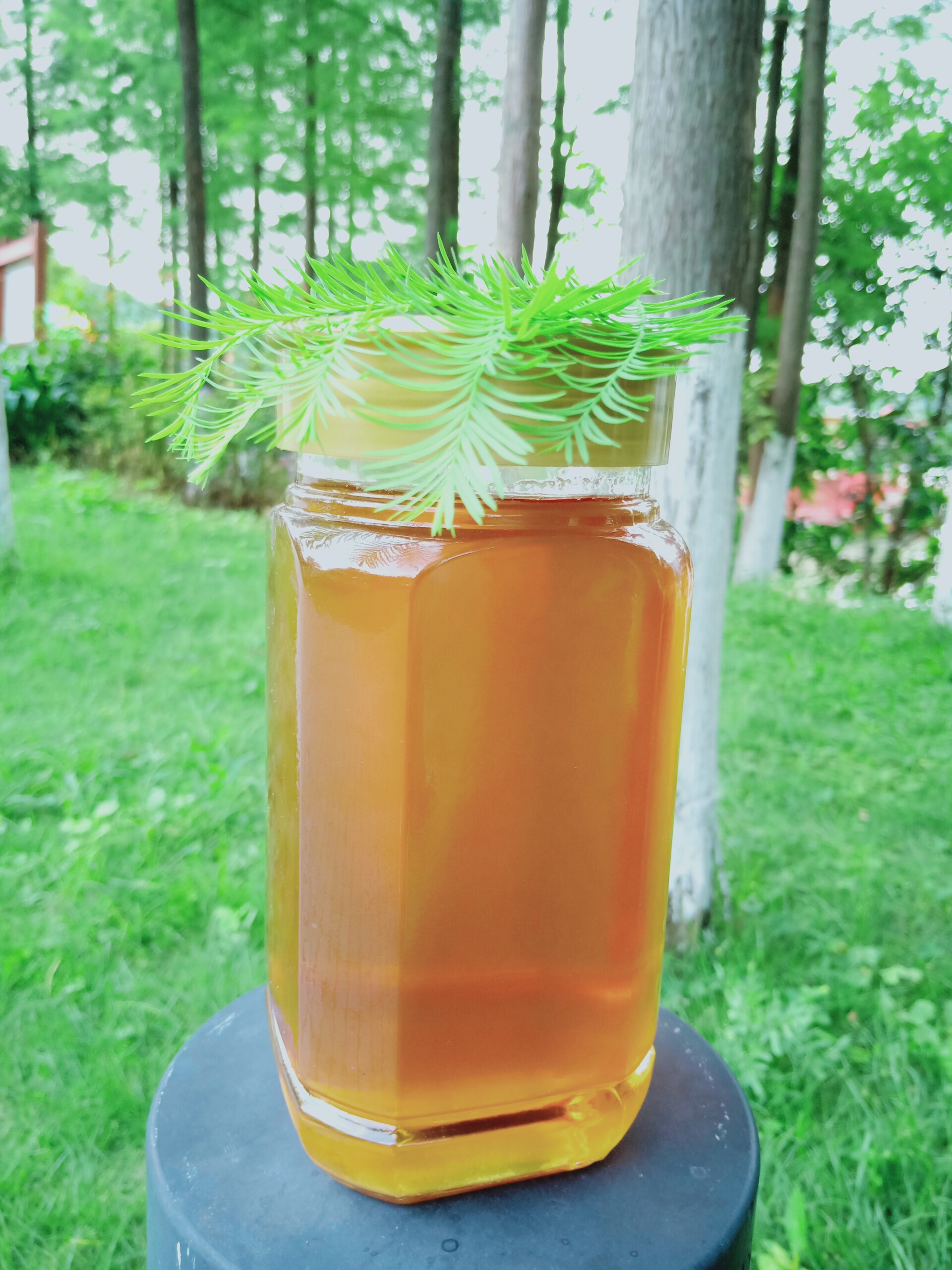 2斤装鸭脚木蜜正宗从化蜂蜜纯正天然深山野生冬蜜原蜜无添加