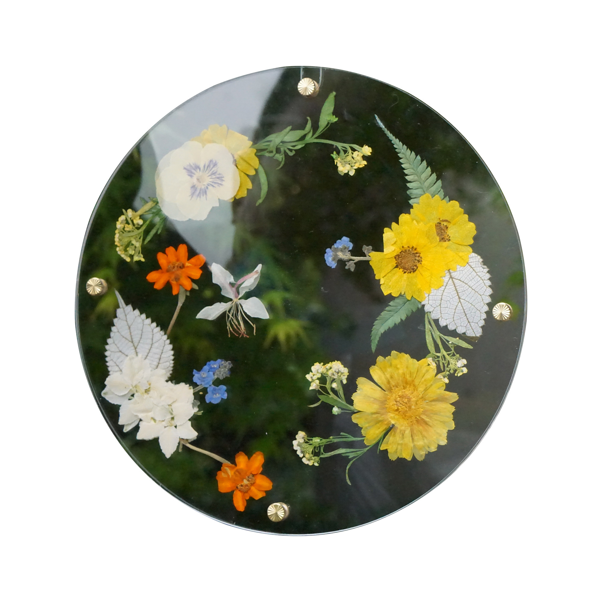 fingreen手工干花压花亚克力壁饰画家家居修饰艺术相框