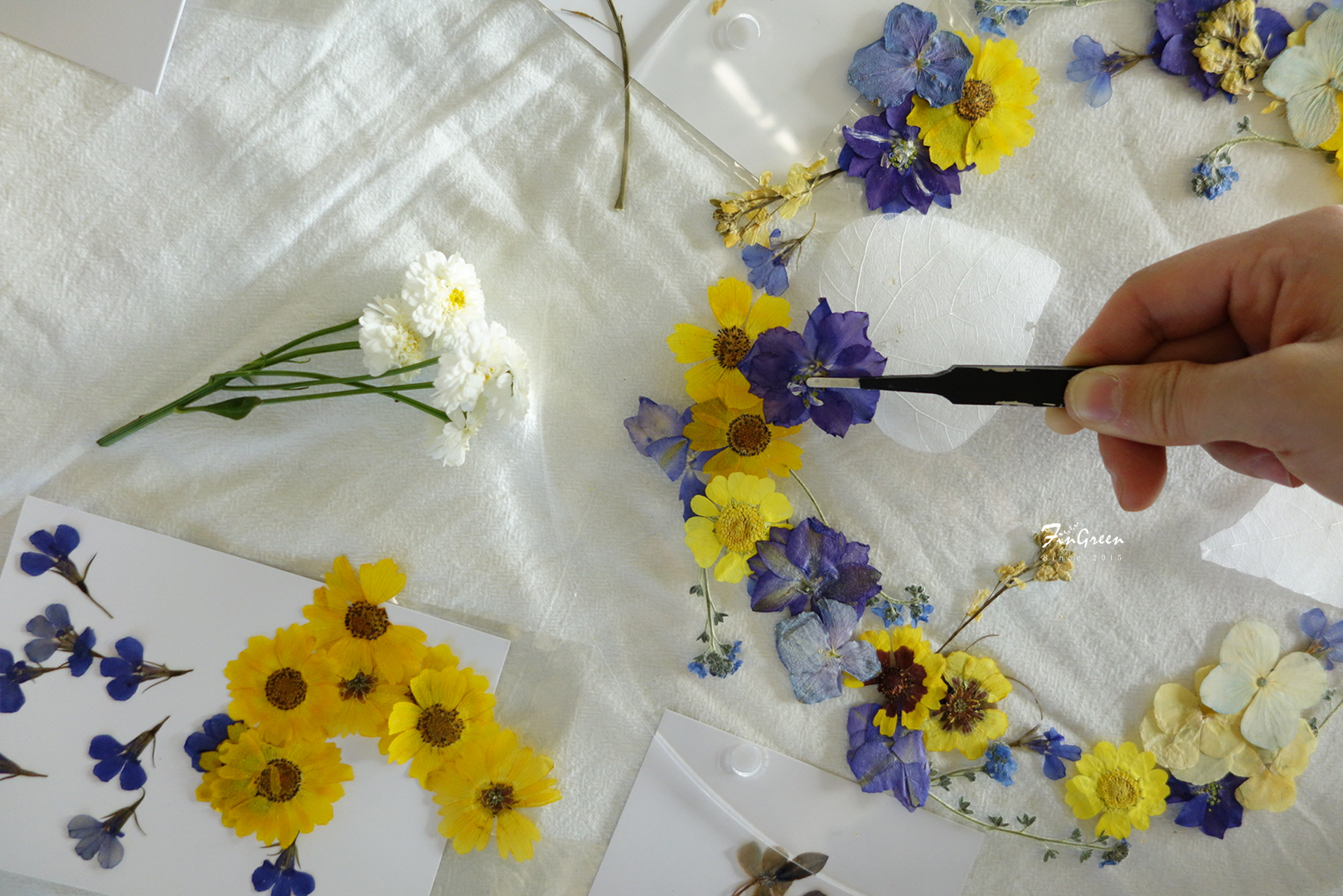 fingreen手工干花压花亚克力壁饰画家家居修饰艺术相框