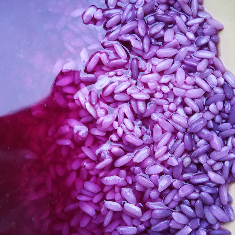 广西五色糯米饭紫色花米饭植物染料五彩米紫蓝草红蓝草紫色500g