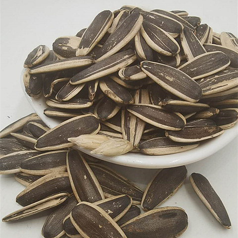 张笨仁天津打手水煮瓜子五香香味卤汁散装颗粒瓜子